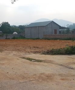 ảnh 5 lô Phú Thịnh , Minh Phú