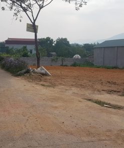 ảnh thực tế 5 lô Phú Thinh, Minh Phú