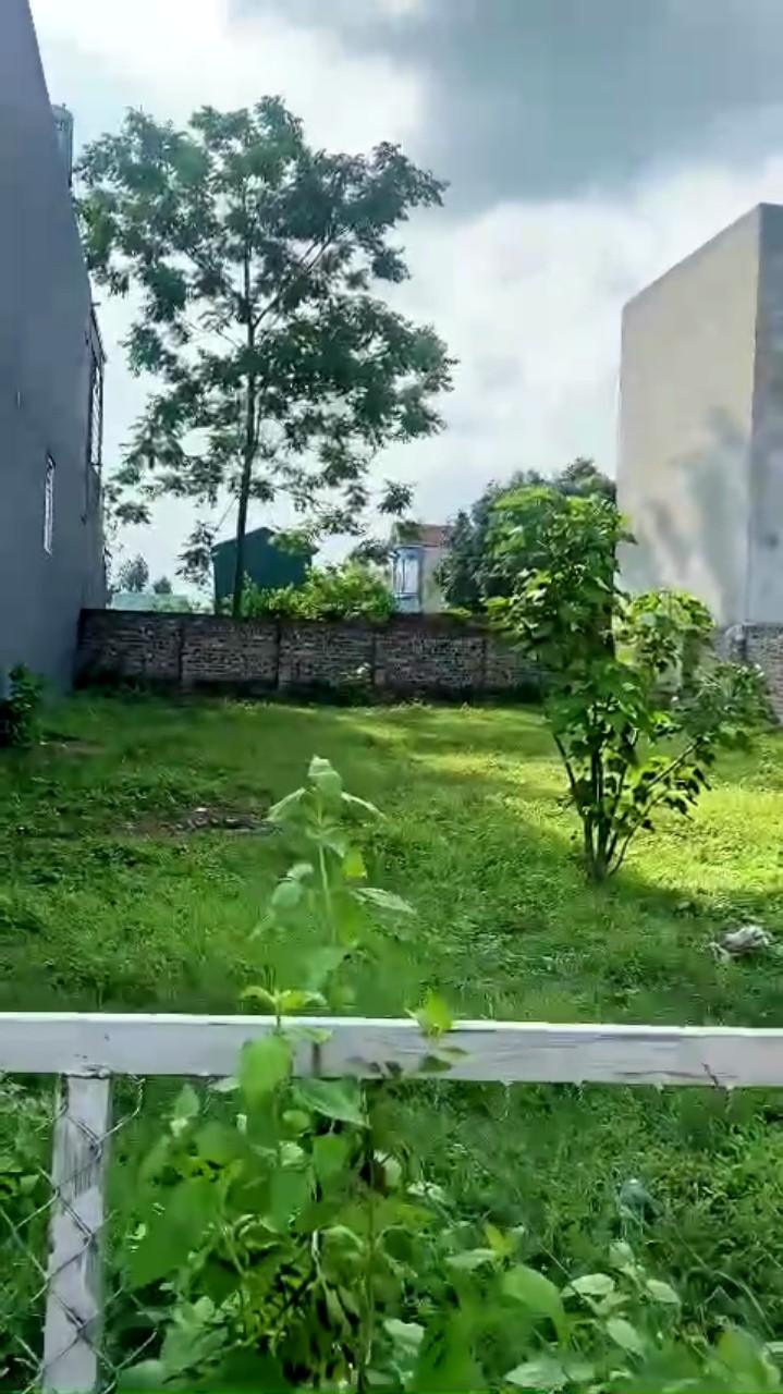 đất xã Minh Trí lô 250m2 đất xã Minh Trí lô 250m2