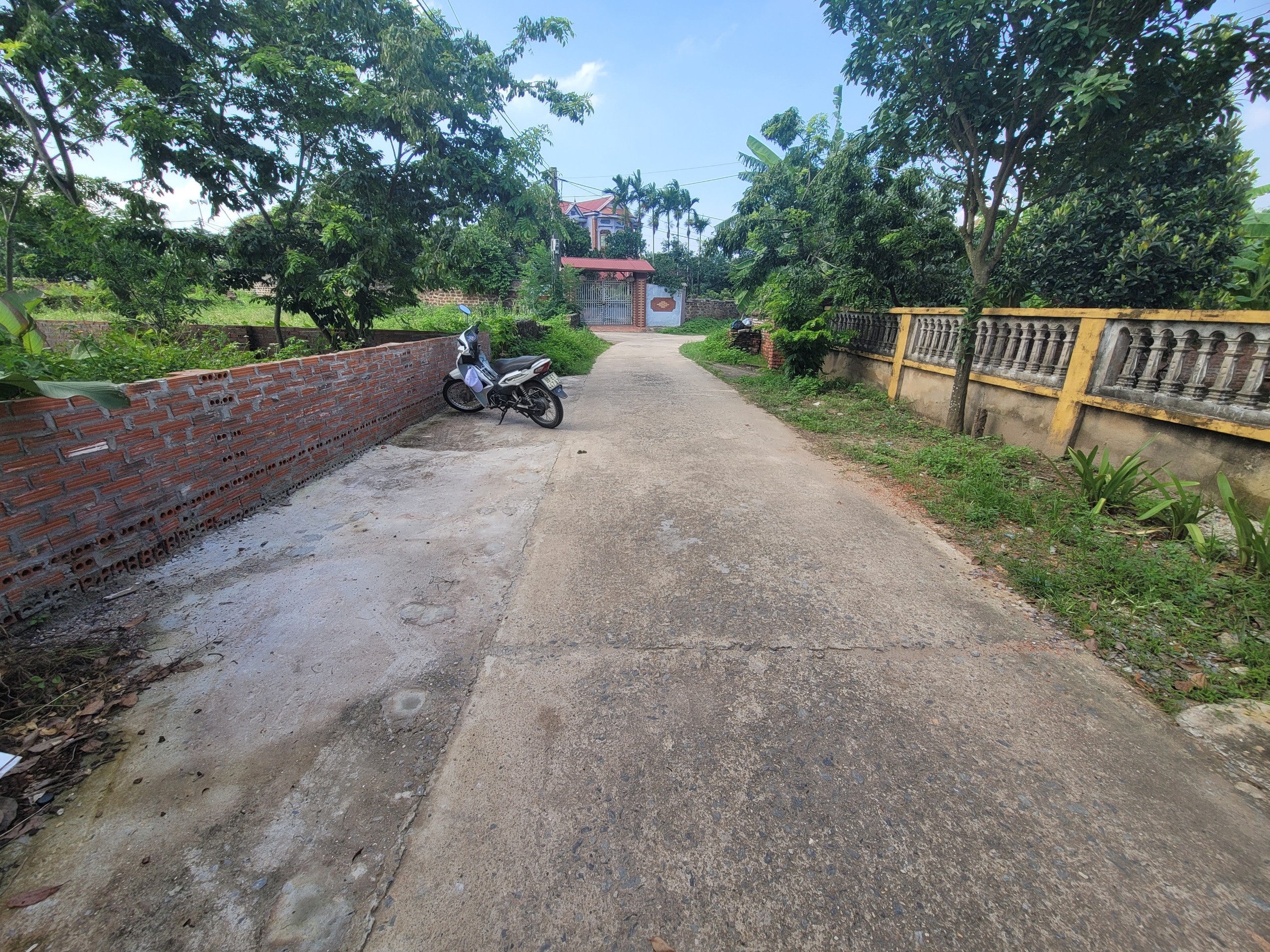 xã minh trí lô 236m2