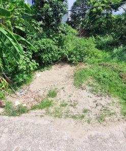 xã minh trí lô 91,5m2