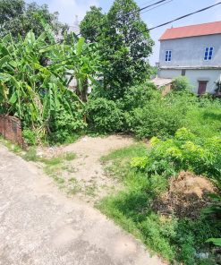 xã minh trí lô 91,5m2