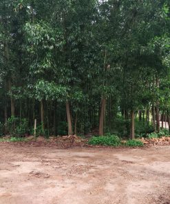 xã minh phú lô 1570m2