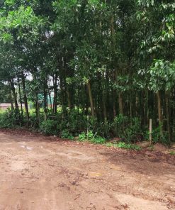 xã minh phú lô 1570m2