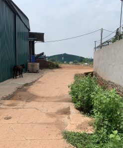 xã minh phú lô 693m2